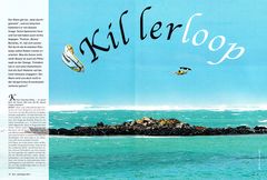 Killer kite loop von Beany (Thomas Burblies) in Kanaha/ Maui/ Hawaii